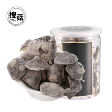 Cogumelo de shiitake chinês liofilizado orgânico